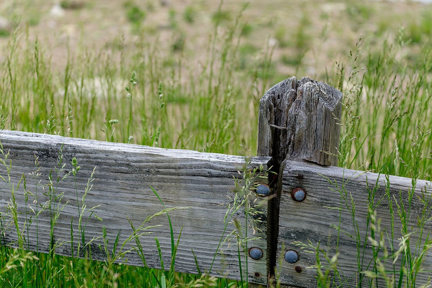 Clôture en bois exposée aux intempéries